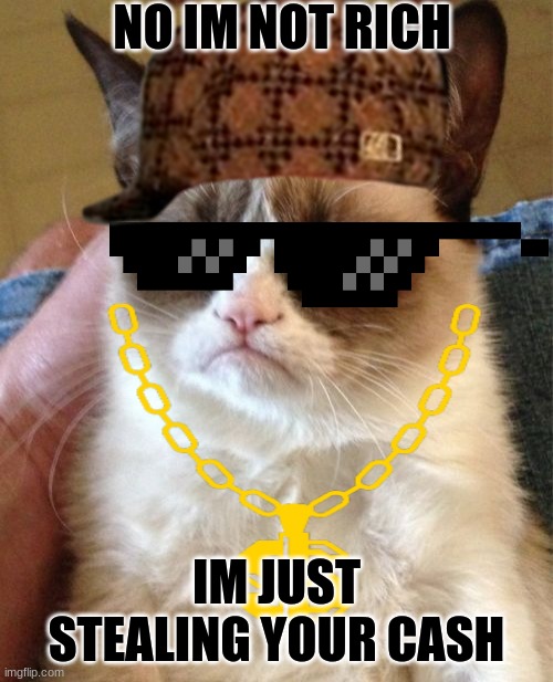 Grumpy Cat Meme | NO IM NOT RICH; IM JUST STEALING YOUR CASH | image tagged in memes,grumpy cat | made w/ Imgflip meme maker