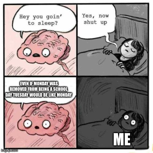 Hey you going to sleep? | EVEN IF MONDAY WAS REMOVED FROM BEING A SCHOOL DAY TUESDAY WOULD BE LIKE MONDAY; ME | image tagged in hey you going to sleep | made w/ Imgflip meme maker