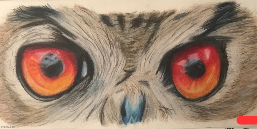 4h Owl Eyes Drawing I made with colored pencils | image tagged in drawing,animals | made w/ Imgflip meme maker