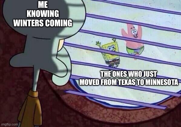 Squidward window | ME KNOWING WINTERS COMING; THE ONES WHO JUST MOVED FROM TEXAS TO MINNESOTA | image tagged in squidward window | made w/ Imgflip meme maker
