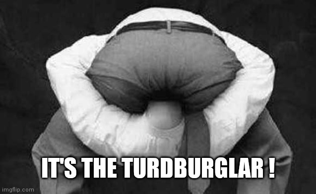 Head up ass  | IT'S THE TURDBURGLAR ! | image tagged in head up ass | made w/ Imgflip meme maker