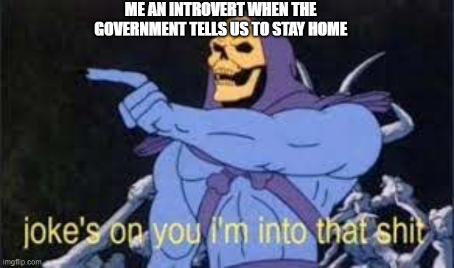 Jokes on you im into that shit | ME AN INTROVERT WHEN THE GOVERNMENT TELLS US TO STAY HOME | image tagged in jokes on you im into that shit | made w/ Imgflip meme maker