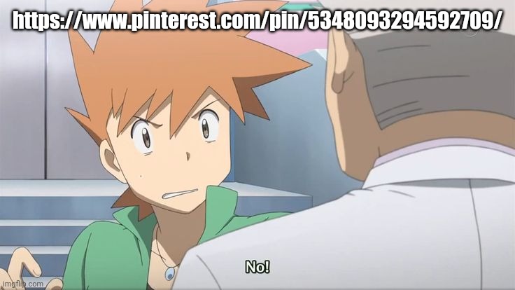 No! | https://www.pinterest.com/pin/5348093294592709/ | image tagged in no | made w/ Imgflip meme maker