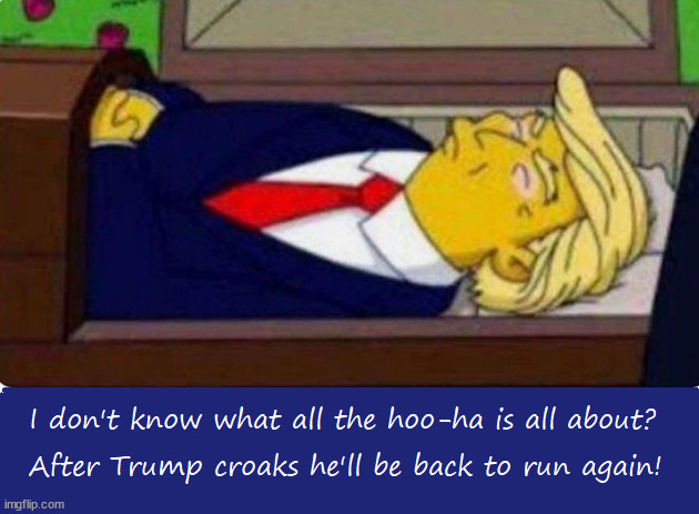 Trump runs again.. | image tagged in donald trump,dead,maga | made w/ Imgflip meme maker