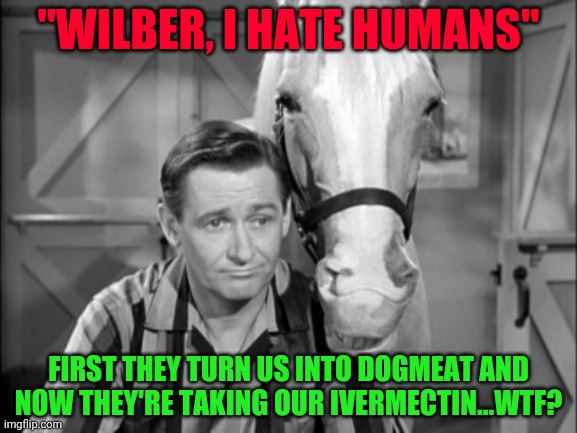 Mr Ed and Wilbur skeptical | "WILBER, I HATE HUMANS"; FIRST THEY TURN US INTO DOGMEAT AND NOW THEY'RE TAKING OUR IVERMECTIN...WTF? | image tagged in mr ed and wilbur skeptical | made w/ Imgflip meme maker