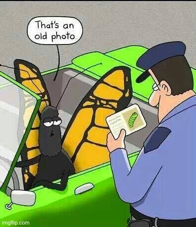 image tagged in comics/cartoons | made w/ Imgflip meme maker