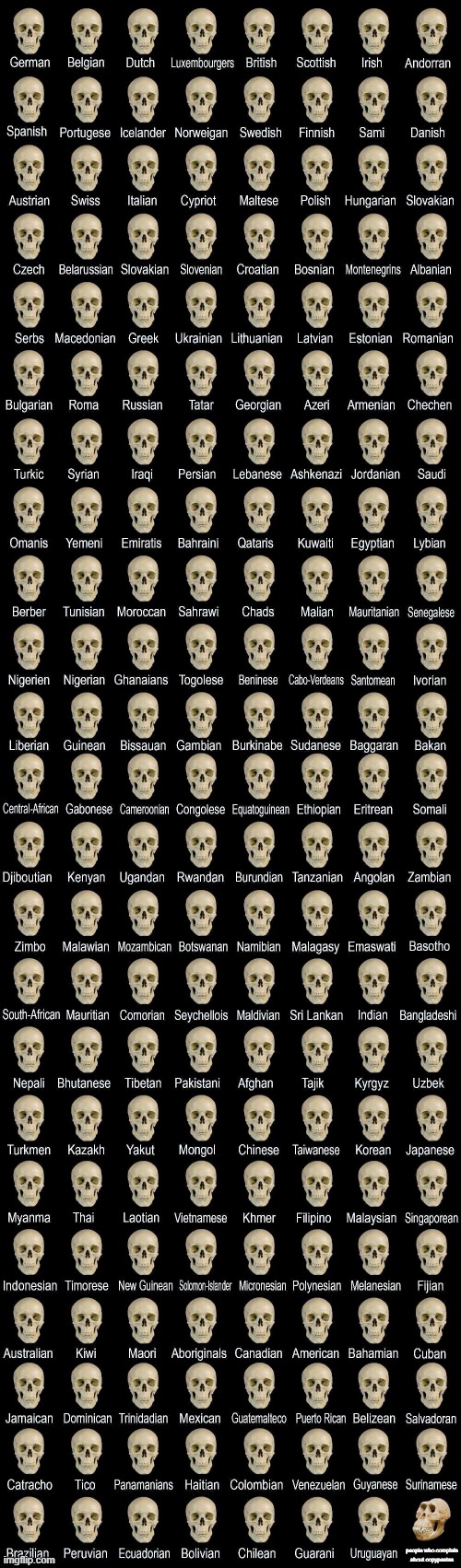 The phantom, exterior like fish eggs interior like suicide wrist-rags, I could exercise you, this could be your phys-ed cheat on | people who complain about copypastas | image tagged in deformed skull | made w/ Imgflip meme maker