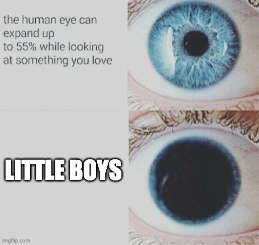 Eye pupil expand |  LITTLE BOYS | image tagged in eye pupil expand | made w/ Imgflip meme maker