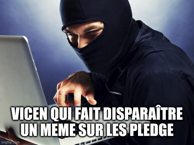 Ninja | VICEN QUI FAIT DISPARAÎTRE UN MEME SUR LES PLEDGE | image tagged in ninja | made w/ Imgflip meme maker