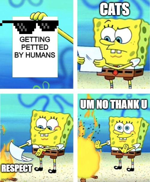 i like cats but u gotta admit its true | CATS; GETTING PETTED BY HUMANS; UM NO THANK U; RESPECT | image tagged in spongebob burning paper | made w/ Imgflip meme maker