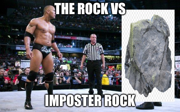 Dwayne Johnson be like... | THE ROCK VS; IMPOSTER ROCK | image tagged in funny | made w/ Imgflip meme maker