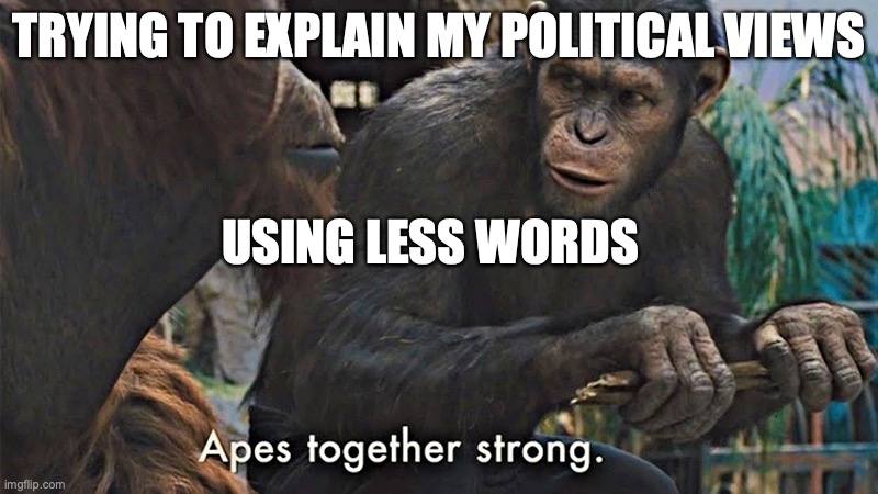  TRYING TO EXPLAIN MY POLITICAL VIEWS; USING LESS WORDS | image tagged in planet of the apes | made w/ Imgflip meme maker