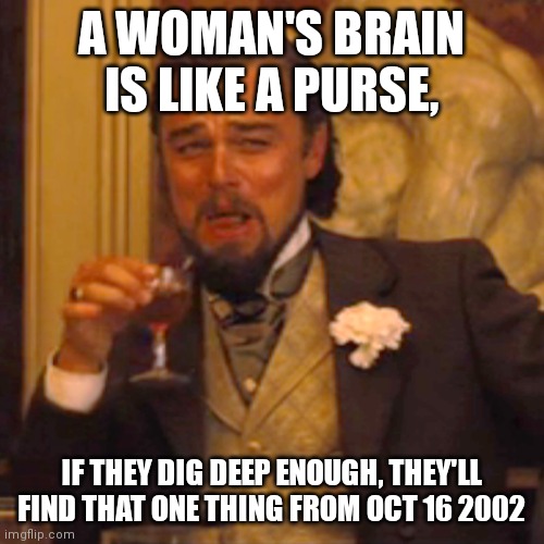 Think about it | A WOMAN'S BRAIN IS LIKE A PURSE, IF THEY DIG DEEP ENOUGH, THEY'LL FIND THAT ONE THING FROM OCT 16 2002 | image tagged in memes,laughing leo | made w/ Imgflip meme maker