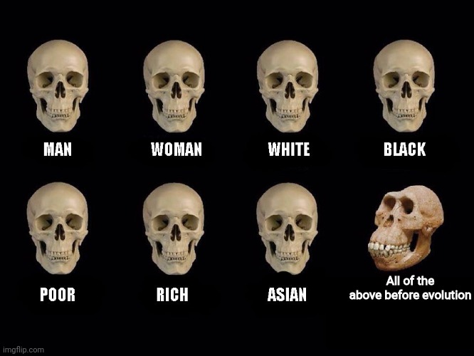 Oh look! A very creative title and meme! |  All of the above before evolution | image tagged in empty skulls of truth,memes | made w/ Imgflip meme maker
