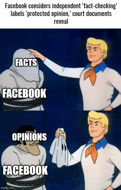 Facebook: Facts are opinions | FACTS; FACEBOOK; OPINIONS; FACEBOOK | image tagged in scooby doo mask reveal,facebook,fact check,protected opinion | made w/ Imgflip meme maker