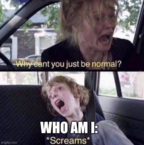 Is Who Am I Normal? | WHO AM I: | image tagged in why can't you just be normal,who am i,normal,weird | made w/ Imgflip meme maker