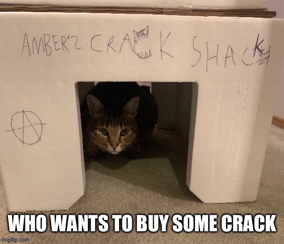 Ambers Crack Shack | WHO WANTS TO BUY SOME CRACK | image tagged in ambers crack shack | made w/ Imgflip meme maker