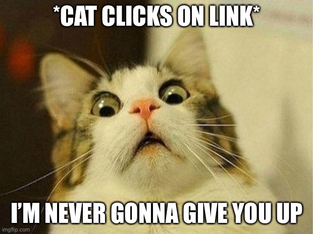 Scared Cat | *CAT CLICKS ON LINK*; I’M NEVER GONNA GIVE YOU UP | image tagged in memes,scared cat | made w/ Imgflip meme maker