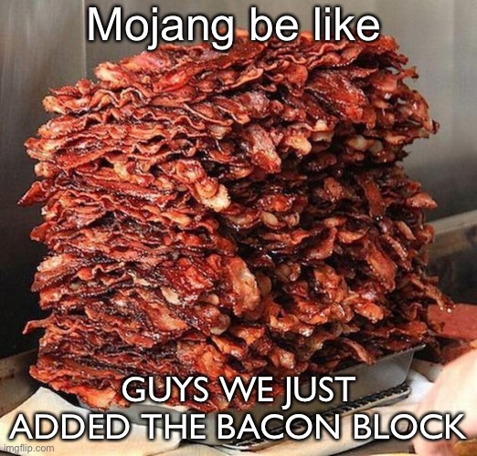 bacon | Mojang be like; GUYS WE JUST ADDED THE BACON BLOCK | image tagged in bacon,baconblock | made w/ Imgflip meme maker