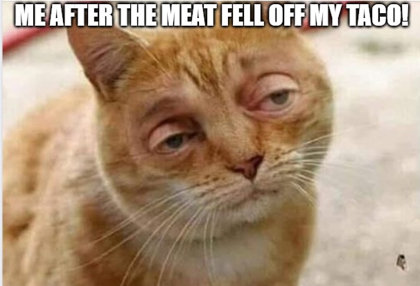 the last bite!!!!! |  ME AFTER THE MEAT FELL OFF MY TACO! | image tagged in duh,grumpy cat,cats,funny cats | made w/ Imgflip meme maker