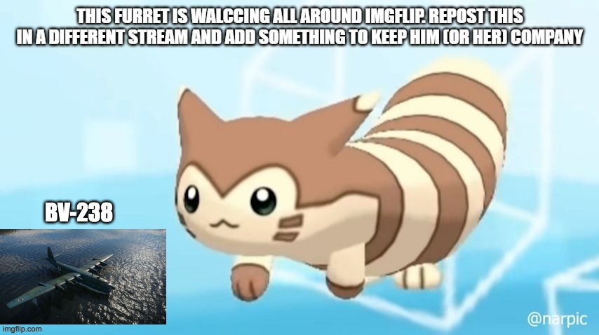and put some captions so others know what you are posting | BV-238 | image tagged in furret | made w/ Imgflip meme maker