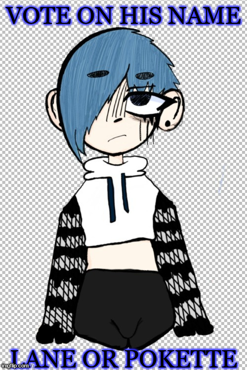 logan said lane, bubonic said pokette | VOTE ON HIS NAME; LANE OR POKETTE | image tagged in goth femboy poke | made w/ Imgflip meme maker