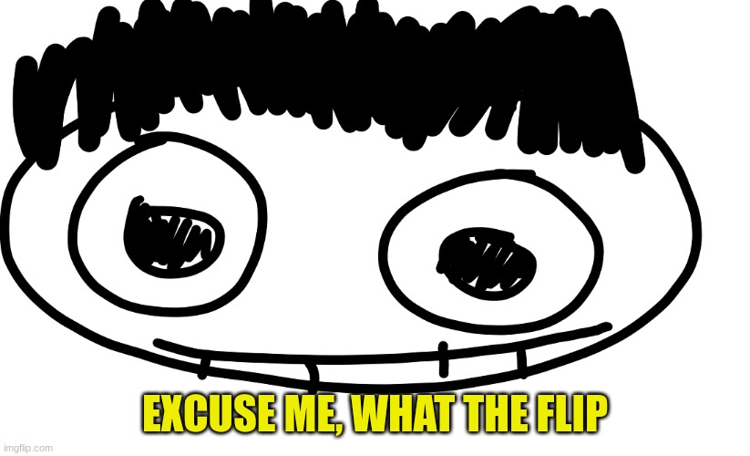 EXCUSE ME, WHAT THE FLIP | made w/ Imgflip meme maker
