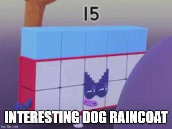 INTERESTING DOG RAINCOAT | made w/ Imgflip meme maker