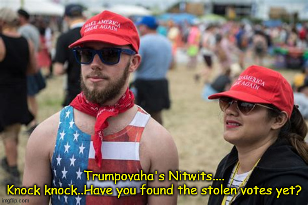 Trumpovaha's Nitwits | Trumpovaha's Nitwits....

Knock knock..Have you found the stolen votes yet? | image tagged in maga,radical,trump supporters | made w/ Imgflip meme maker