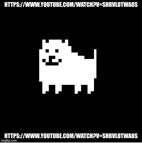 https://www.youtube.com/watch?v=sHbvLOtwaOs | HTTPS://WWW.YOUTUBE.COM/WATCH?V=SHBVLOTWAOS; HTTPS://WWW.YOUTUBE.COM/WATCH?V=SHBVLOTWAOS | image tagged in annoying dog undertale | made w/ Imgflip meme maker