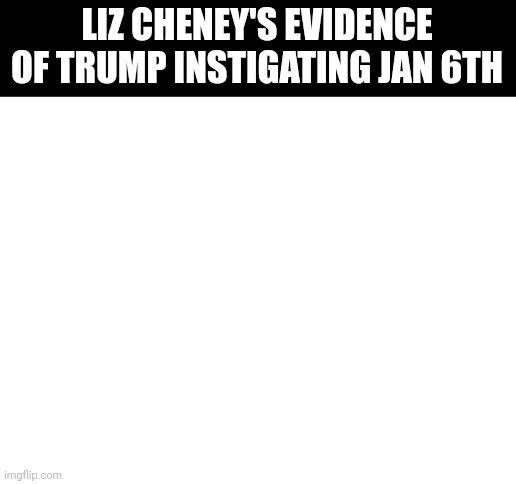 Blank White Template | LIZ CHENEY'S EVIDENCE OF TRUMP INSTIGATING JAN 6TH | image tagged in blank white template | made w/ Imgflip meme maker