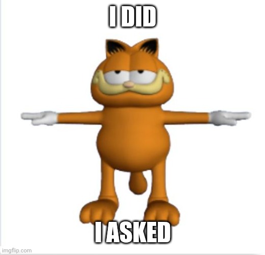 garfield t-pose | I DID I ASKED | image tagged in garfield t-pose | made w/ Imgflip meme maker