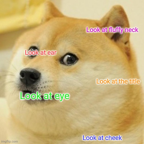 Upvote this | Look at fluffy neck; Look at ear; Look at the title; Look at eye; Look at cheek | image tagged in doge,funny | made w/ Imgflip meme maker