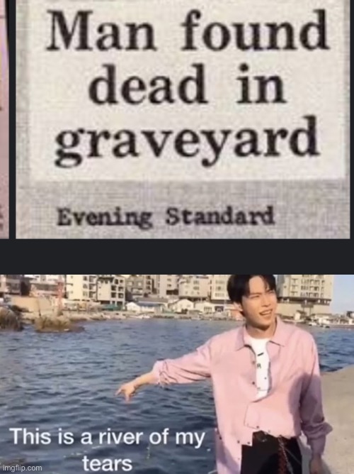 Do you kno what a graveyard is lol | image tagged in srsly,this is a river of my tears | made w/ Imgflip meme maker