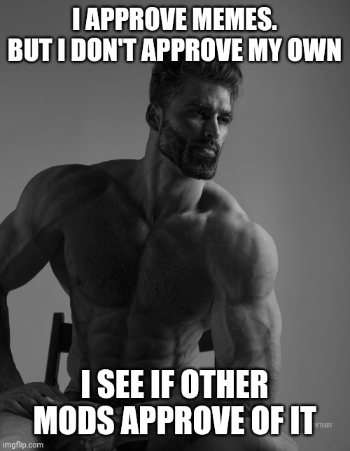 Giga Chad | I APPROVE MEMES. BUT I DON'T APPROVE MY OWN; I SEE IF OTHER MODS APPROVE OF IT | image tagged in giga chad | made w/ Imgflip meme maker