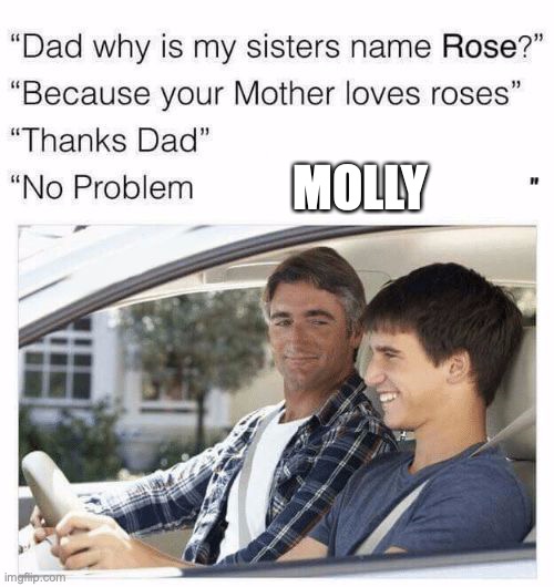 My humor is dead | MOLLY | image tagged in why is my sister's name rose,molly,sniff,memes,best memes,funny memes | made w/ Imgflip meme maker