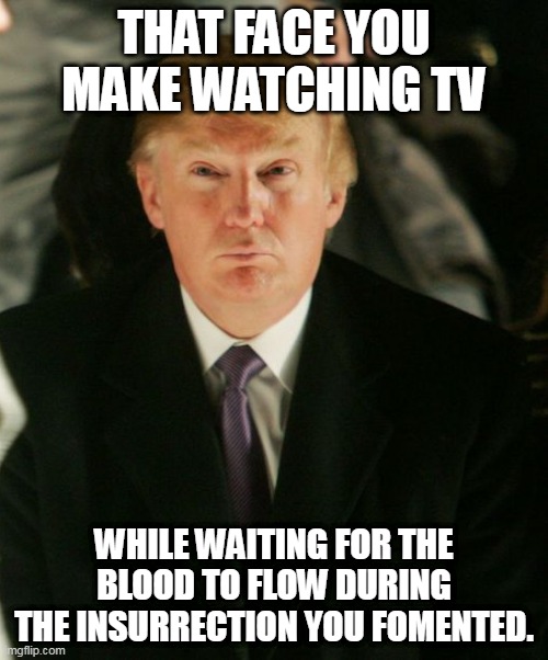 Trump Watching His Insurrection | THAT FACE YOU MAKE WATCHING TV; WHILE WAITING FOR THE BLOOD TO FLOW DURING THE INSURRECTION YOU FOMENTED. | image tagged in trump watching jan 6,trump,jan 6,treason | made w/ Imgflip meme maker