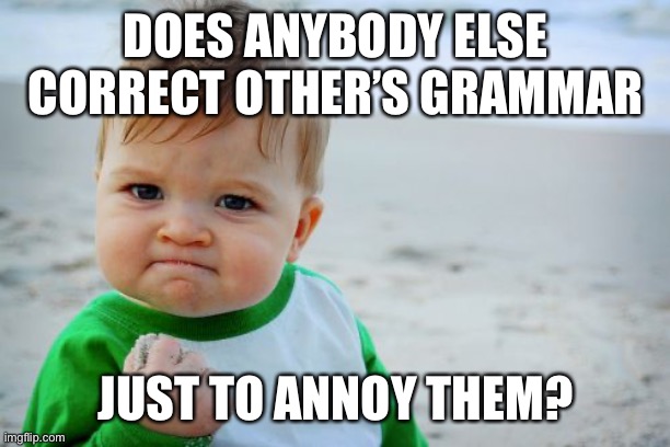 I do | DOES ANYBODY ELSE CORRECT OTHER’S GRAMMAR; JUST TO ANNOY THEM? | image tagged in memes,success kid original,school,grammar | made w/ Imgflip meme maker