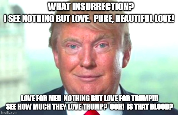 Trump Stupid Stare | WHAT INSURRECTION? I SEE NOTHING BUT LOVE.  PURE, BEAUTIFUL LOVE! LOVE FOR ME!!  NOTHING BUT LOVE FOR TRUMP!!!
SEE HOW MUCH THEY LOVE TRUMP?  OOH!  IS THAT BLOOD? | image tagged in trump stupid stare | made w/ Imgflip meme maker