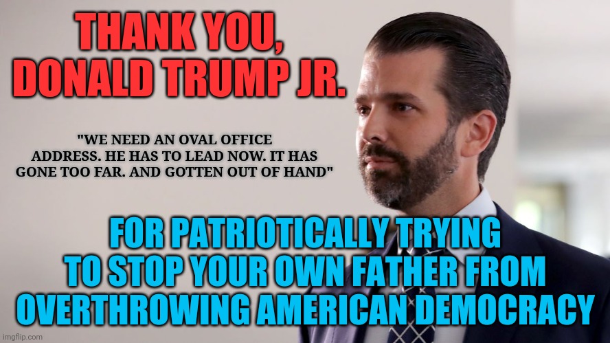 THANK YOU, DONALD TRUMP JR. "WE NEED AN OVAL OFFICE ADDRESS. HE HAS TO LEAD NOW. IT HAS GONE TOO FAR. AND GOTTEN OUT OF HAND"; FOR PATRIOTICALLY TRYING TO STOP YOUR OWN FATHER FROM OVERTHROWING AMERICAN DEMOCRACY | image tagged in irony | made w/ Imgflip meme maker