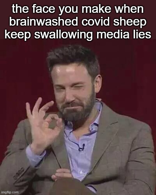 liberal sheep have been hoodwinked! | the face you make when brainwashed covid sheep keep swallowing media lies | image tagged in msm lies,cnn fake news,wuhan,flu,stupid liberals,sheeple | made w/ Imgflip meme maker