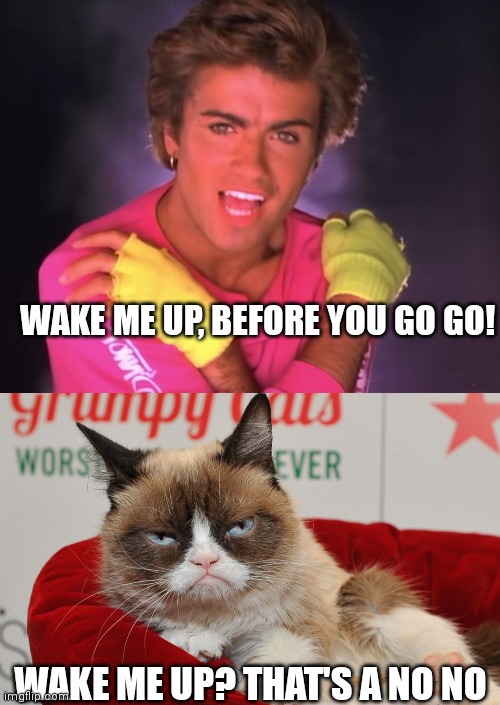 Let me sleeeep |  WAKE ME UP, BEFORE YOU GO GO! WAKE ME UP? THAT'S A NO NO | image tagged in memes,grumpy cat,wham,wake me up | made w/ Imgflip meme maker
