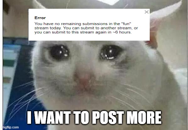 WHY | I WANT TO POST MORE | image tagged in crying cat | made w/ Imgflip meme maker