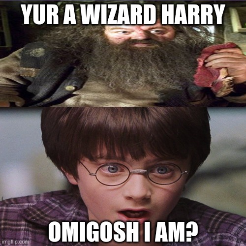 yur a wizard harry | YUR A WIZARD HARRY; OMIGOSH I AM? | image tagged in harry potter | made w/ Imgflip meme maker