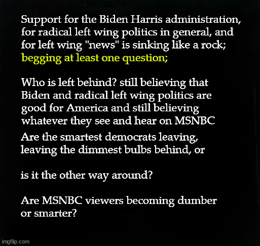 democrat demise? | Support for the Biden Harris administration,
for radical left wing politics in general, and
for left wing "news" is sinking like a rock;
begging at least one question;; begging at least one question;; Who is left behind? still believing that 
Biden and radical left wing politics are
good for America and still believing 
whatever they see and hear on MSNBC; Are the smartest democrats leaving,
leaving the dimmest bulbs behind, or
 
is it the other way around?
 
Are MSNBC viewers becoming dumber
or smarter? | image tagged in cnn ratings,democrats | made w/ Imgflip meme maker