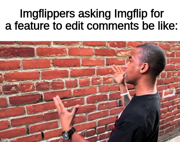 i mean, worth a shot, but... | Imgflippers asking Imgflip for a feature to edit comments be like: | image tagged in brick wall,imgflip,memes,funny,oh wow are you actually reading these tags,feature | made w/ Imgflip meme maker