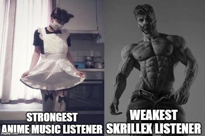 Strongest Fan VS Weakest Fan | STRONGEST ANIME MUSIC LISTENER; WEAKEST SKRILLEX LISTENER | image tagged in strongest fan vs weakest fan | made w/ Imgflip meme maker