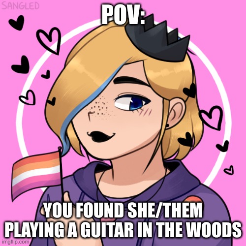 Fluff roleplay for this girl! Enjoy! | POV:; YOU FOUND SHE/THEM PLAYING A GUITAR IN THE WOODS | made w/ Imgflip meme maker