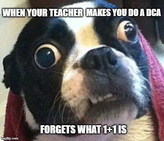 Crazy dog | MAKES YOU DO A DCA; WHEN YOUR TEACHER; FORGETS WHAT 1+1 IS | image tagged in crazy dog | made w/ Imgflip meme maker