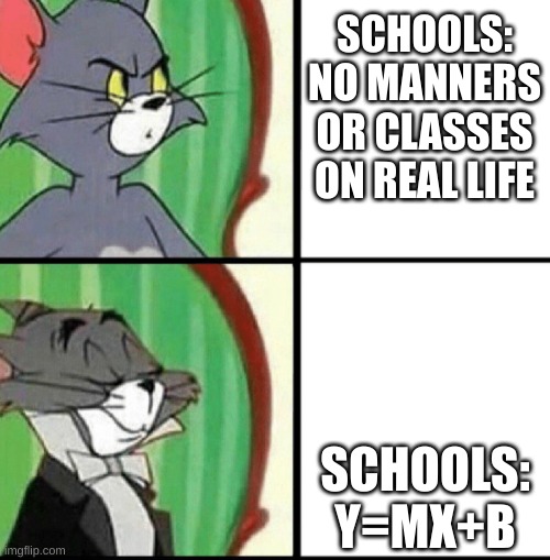 Schools are like | SCHOOLS:
NO MANNERS OR CLASSES ON REAL LIFE; SCHOOLS:
Y=MX+B | image tagged in fancy tom cat | made w/ Imgflip meme maker